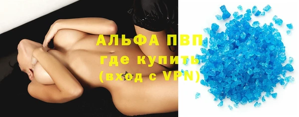 ECSTASY Богданович