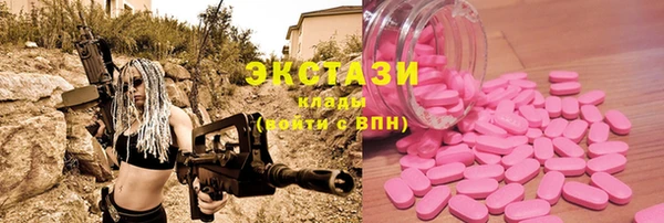 ECSTASY Богданович