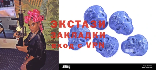 дживик Богородицк