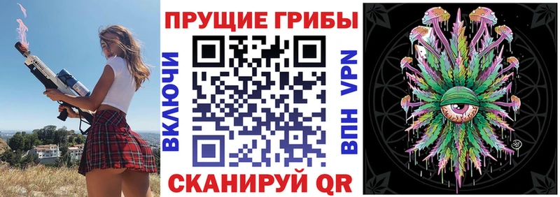 закладка  Красный Кут  Галлюциногенные грибы GOLDEN TEACHER 